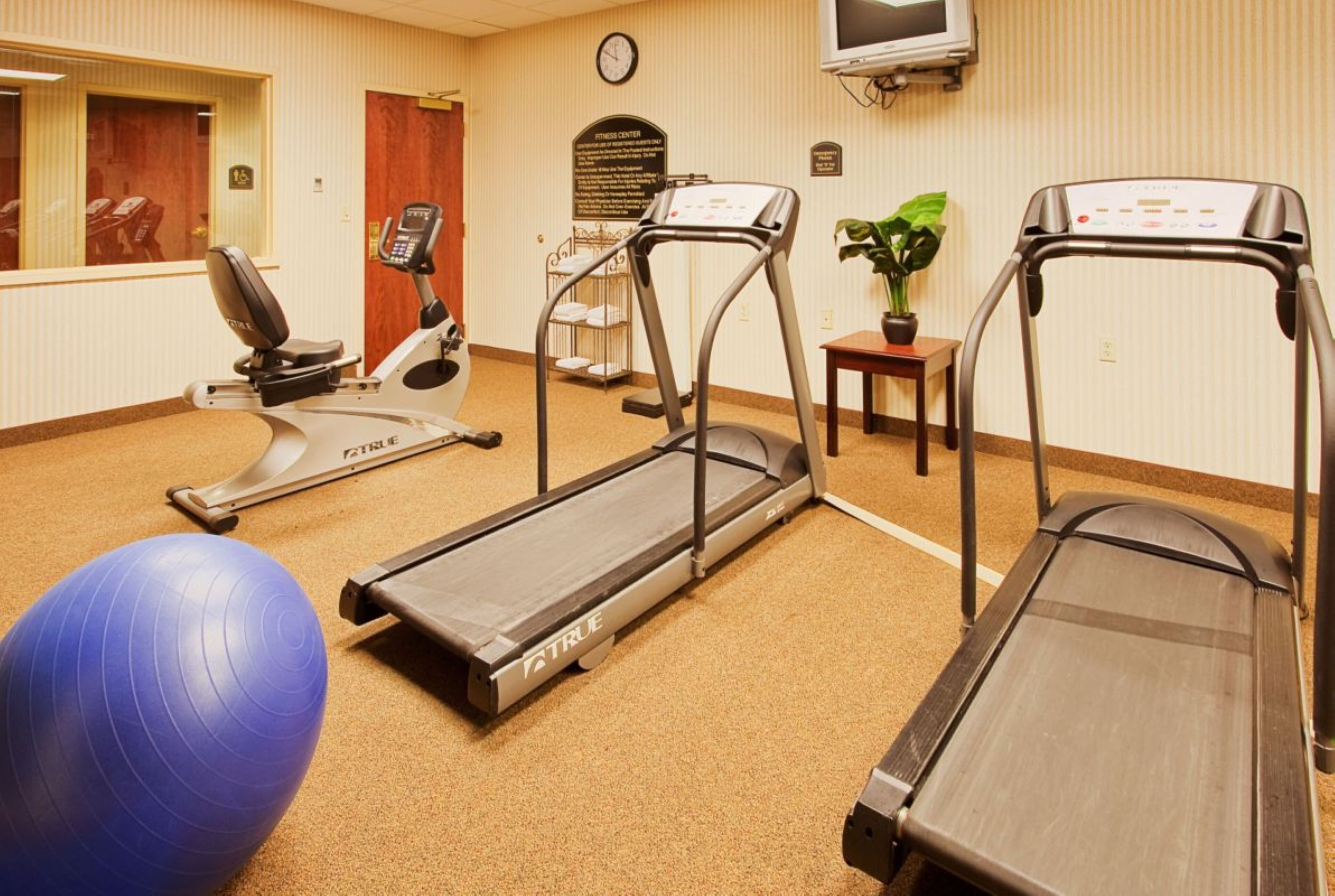 Ein Fitnessraum mit Laufbändern, einem Ergometer und einem blauen Trainingsball.