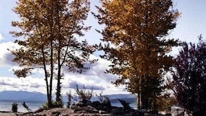 Property grounds - Tahoe Sands Resort (Tahoe Vista)