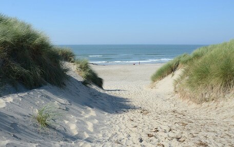A sandy beach path with dunes on either side leading to the ocean.