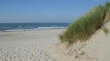 Uitzicht op strand/zee