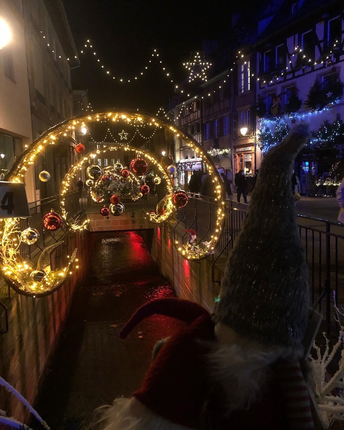 Foto - Hotel Arc-En-Ciel Colmar Contact Hotel