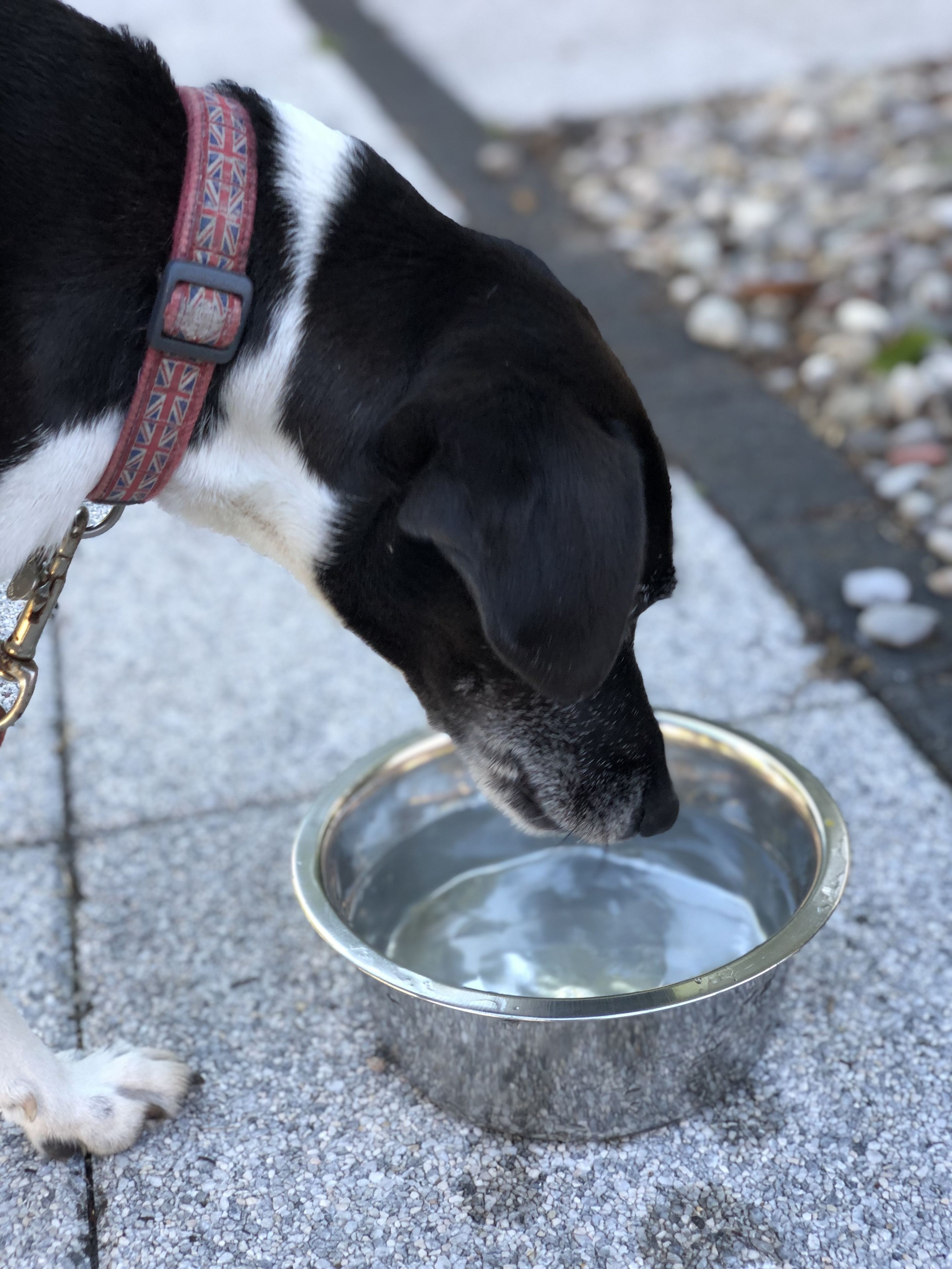 Foto - Hotel Arc-En-Ciel Colmar Contact Hotel