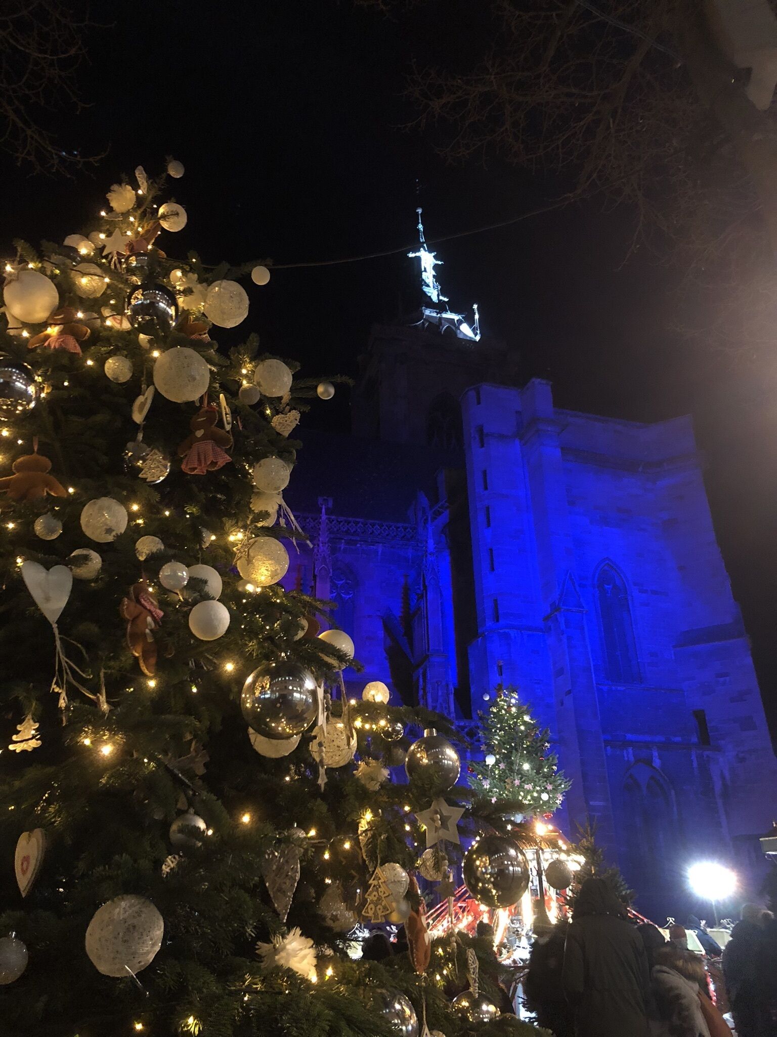 Foto - Hotel Arc-En-Ciel Colmar Contact Hotel