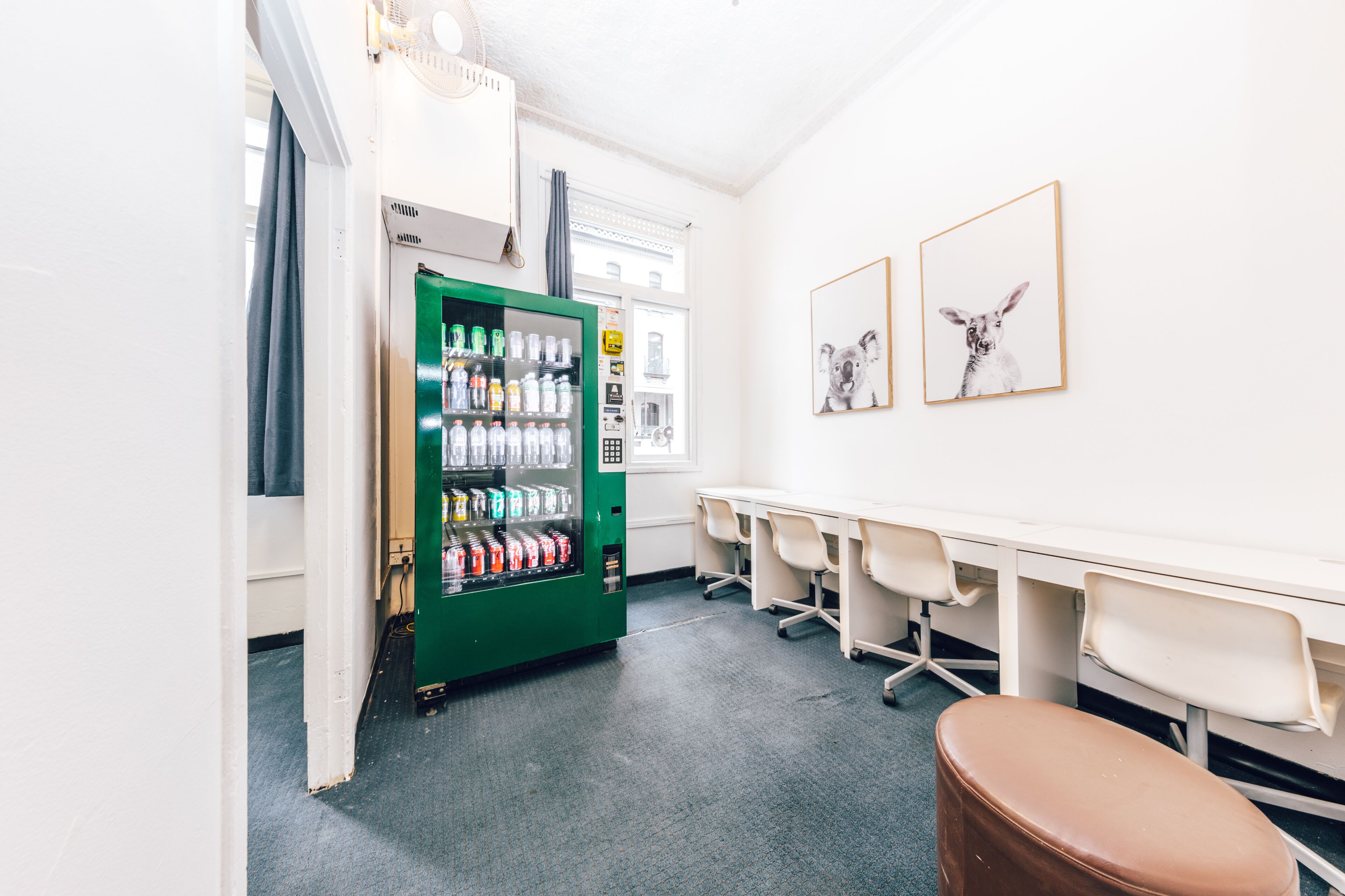 Photo - Maze Backpackers - Sydney