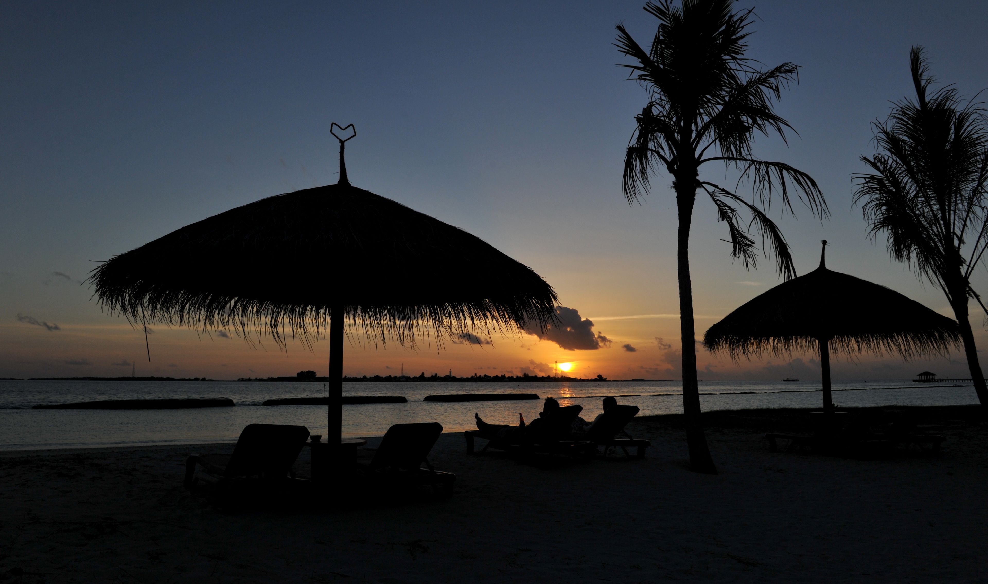 Escena de playa con sombrillas de paja y palmeras al atardecer.