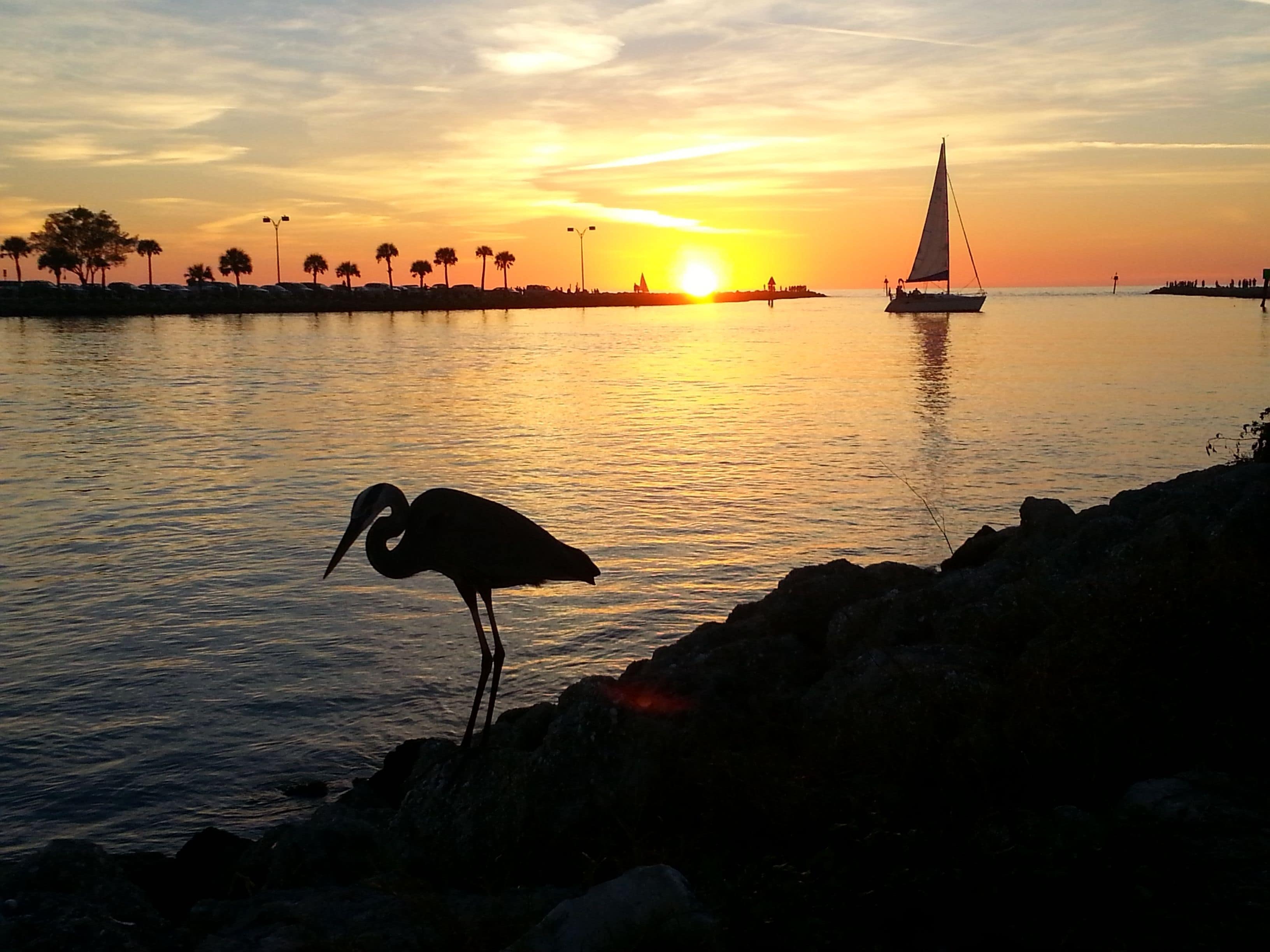 on the beach, white sand