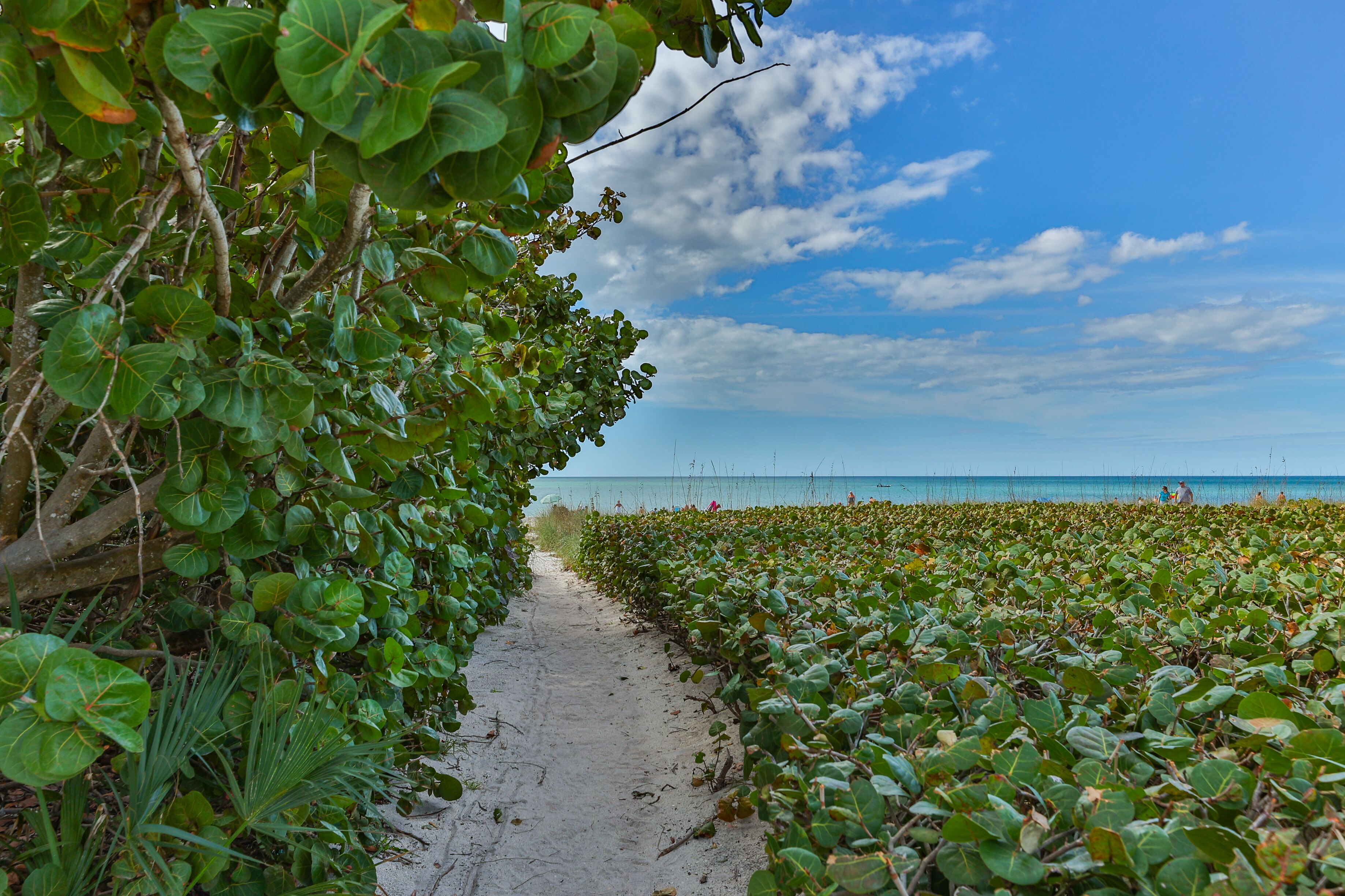 Foto - A Beach Retreat on Casey Key