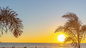 Escena de playa con una hamaca, palmeras y el sol poniéndose sobre el océano.