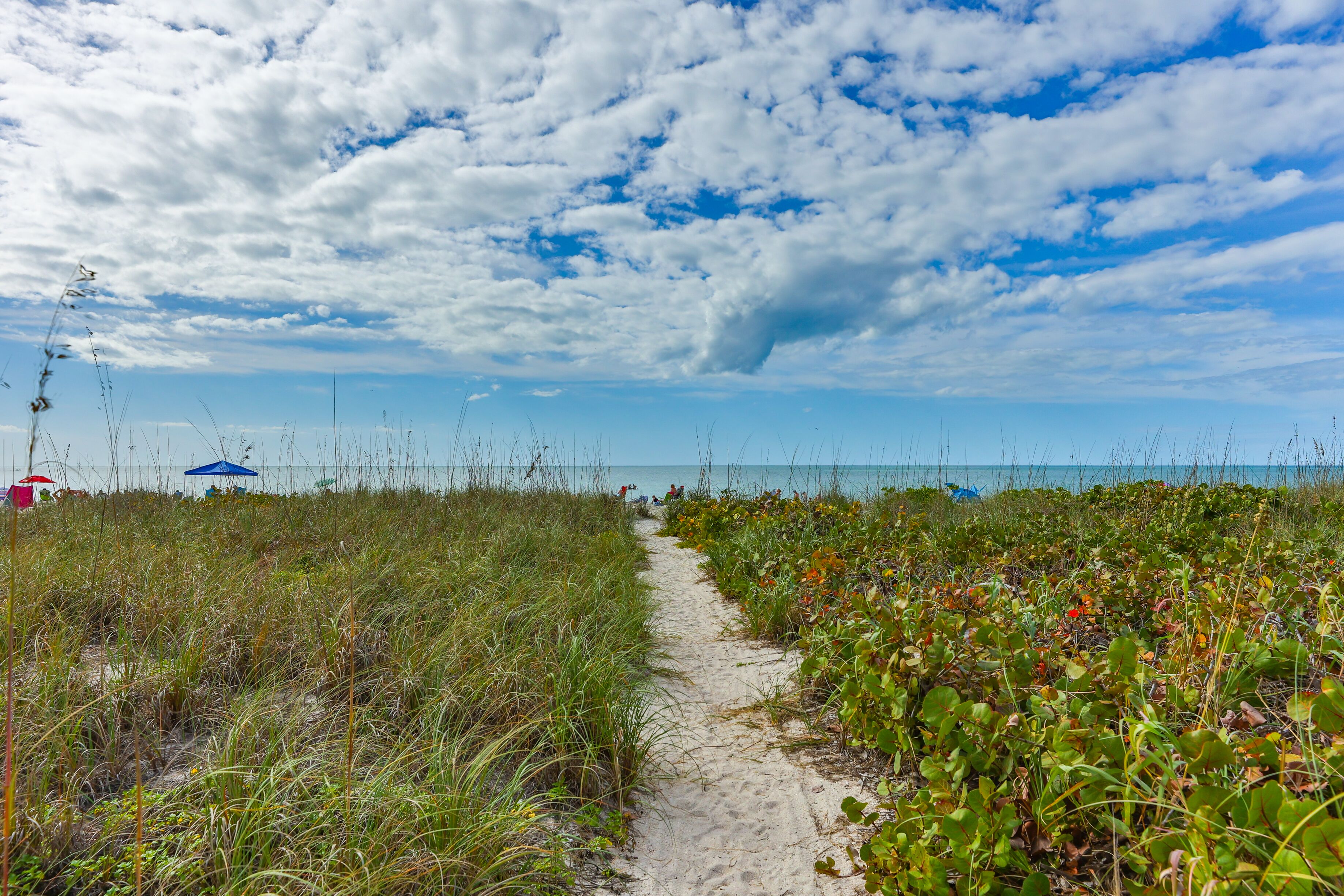 Foto - A Beach Retreat on Casey Key