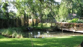 Danau