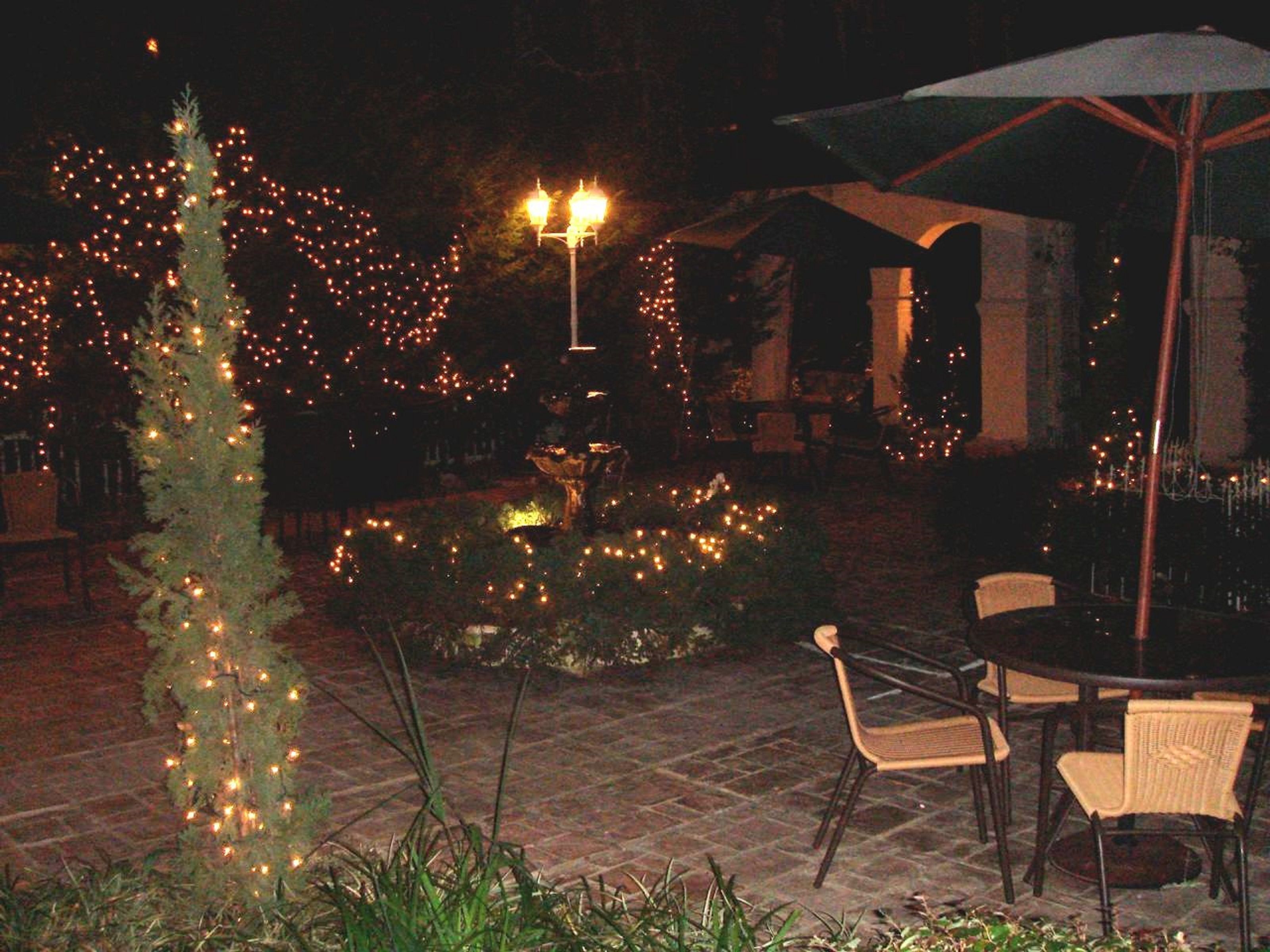 An outdoor patio area with tables and chairs, decorated with string lights and a small tree.