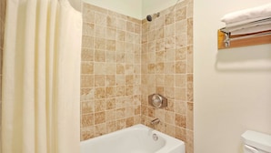 Une salle de bain avec une baignoire, une douche et des toilettes.