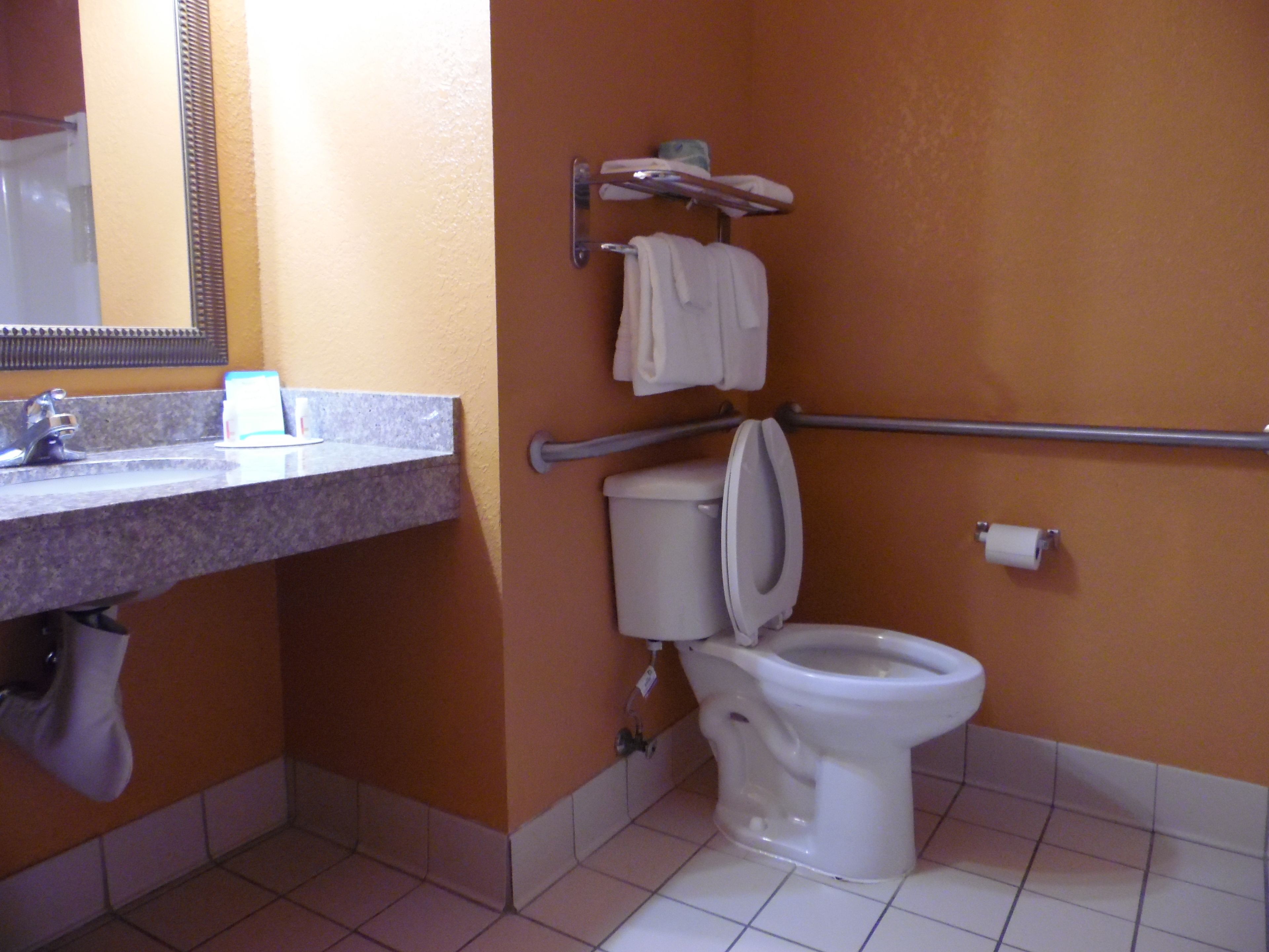 A bathroom with a sink, mirror, toilet, and handrails.