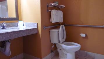 A bathroom with a sink, mirror, toilet, and handrails.