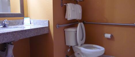 A bathroom with a sink, mirror, toilet, and handrails.