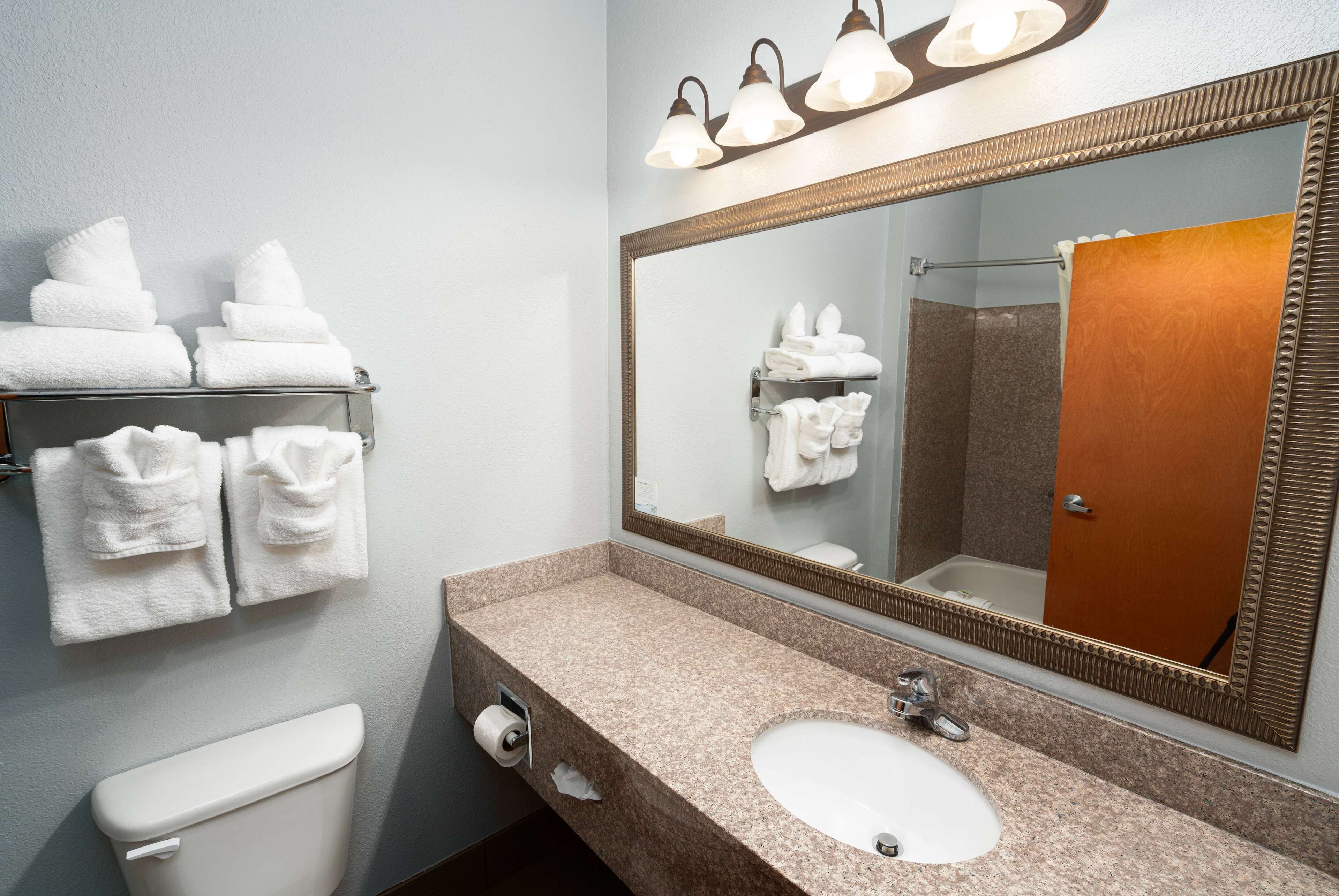 combined shower/bathtub, free toiletries, hair dryer, towels