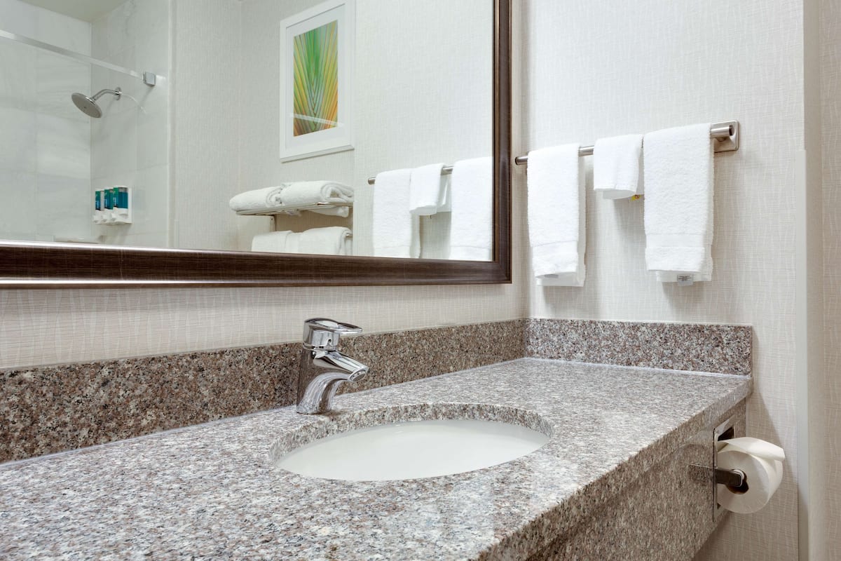 combined shower/bathtub, free toiletries, hair dryer, towels