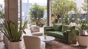 Un salon moderne avec un canapé vert, un fauteuil blanc et une table basse. On y trouve plusieurs plantes en pot et une grande fenêtre qui offre une vue sur la ville.