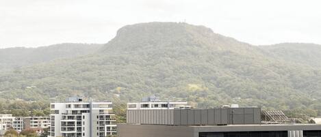 A modern building with a flat roof, large windows, and a view of a mountain in the background.