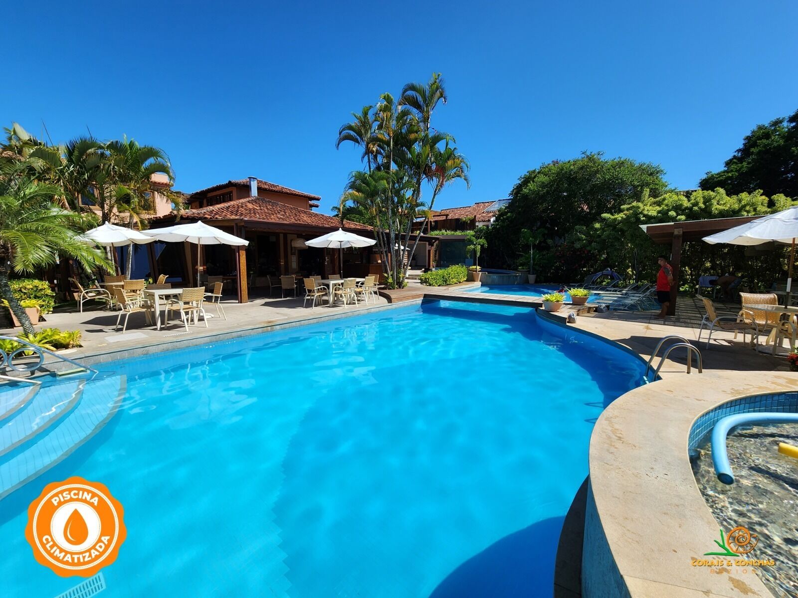 A swimming pool with lounge chairs and umbrellas, surrounded by palm trees and a building with a tiled roof.