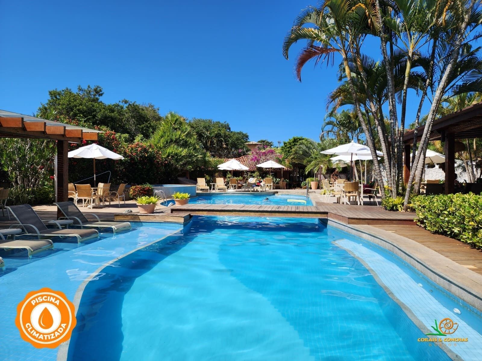 A swimming pool with lounge chairs and umbrellas, surrounded by palm trees and greenery.
