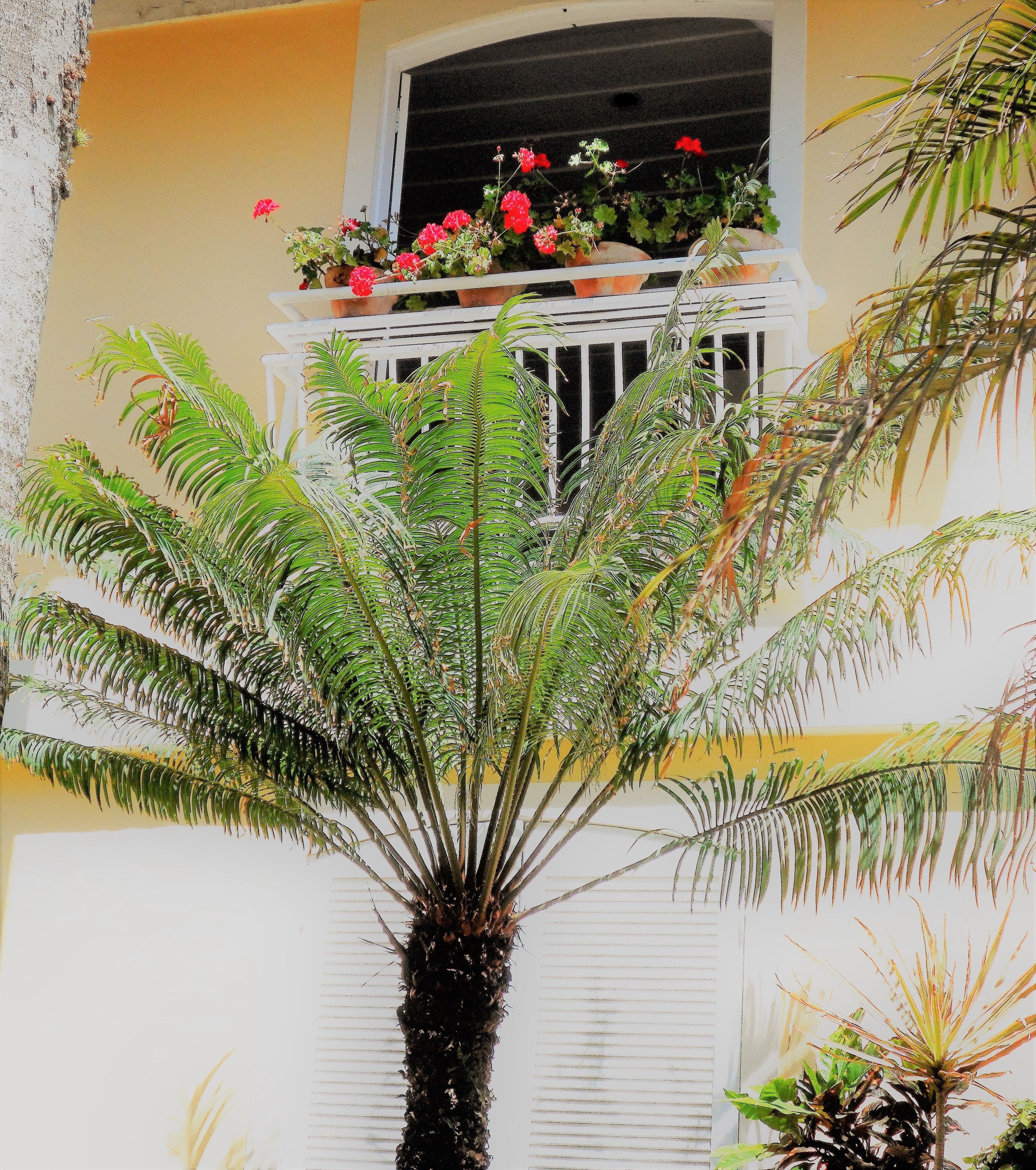 standard double room | view from room