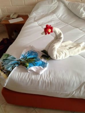 Standard Single Room | In-room safe, free cribs/infant beds, free WiFi