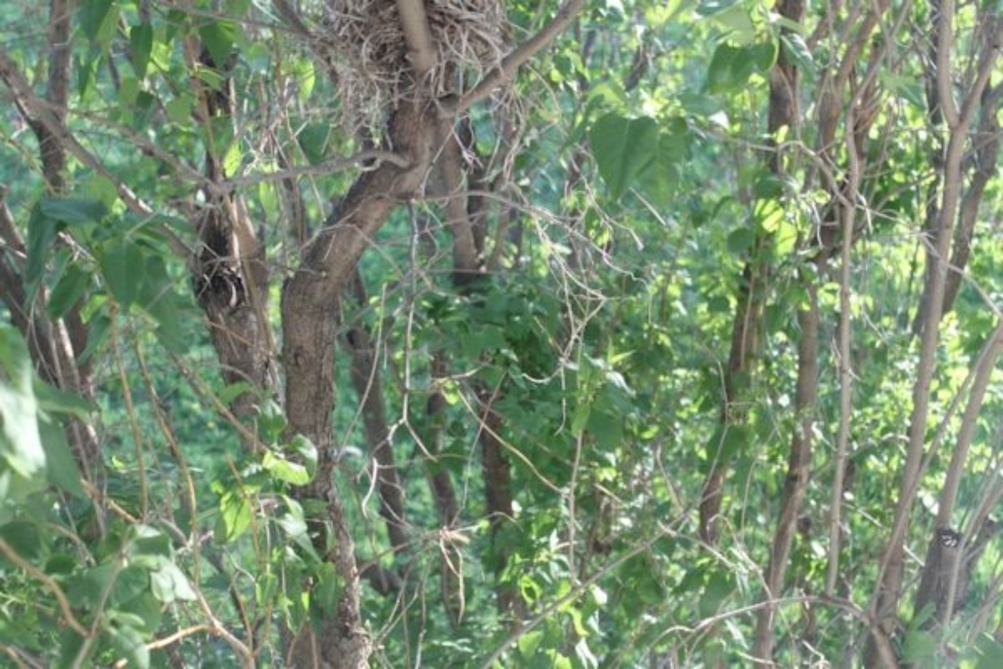 Room, Private Bathroom (Garden Vue Suite) | View from room