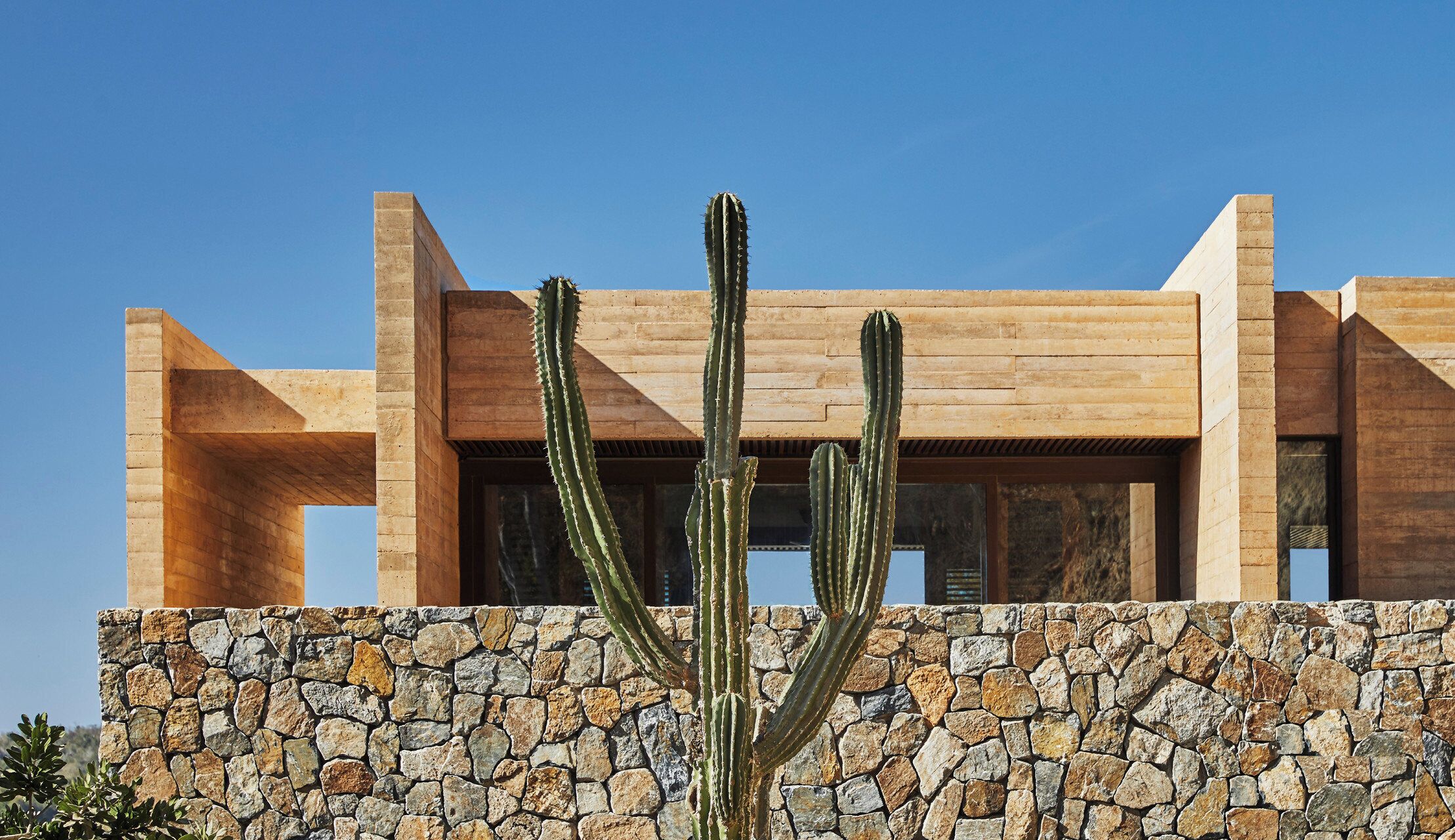 A modern building with a stone wall and a cactus in front.