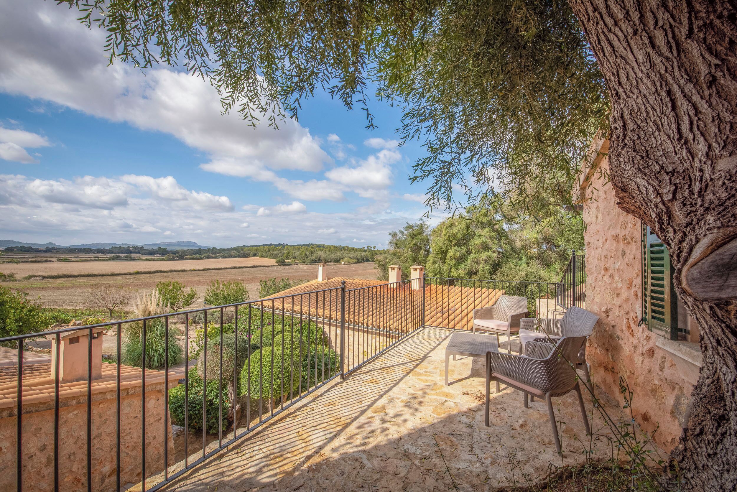 Foto - Finca Son Roig by Valentin