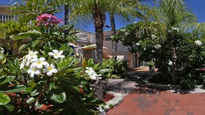 A paved pathway leading to a building with a red brick facade, surrounded by lush greenery and flowering plants. - Manatee Bay Inn - Near Fishing Pier Fort Myers Beach (Fort Myers Beach)