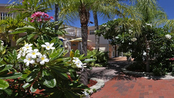 A paved pathway leading to a building with a red brick facade, surrounded by lush greenery and flowering plants.