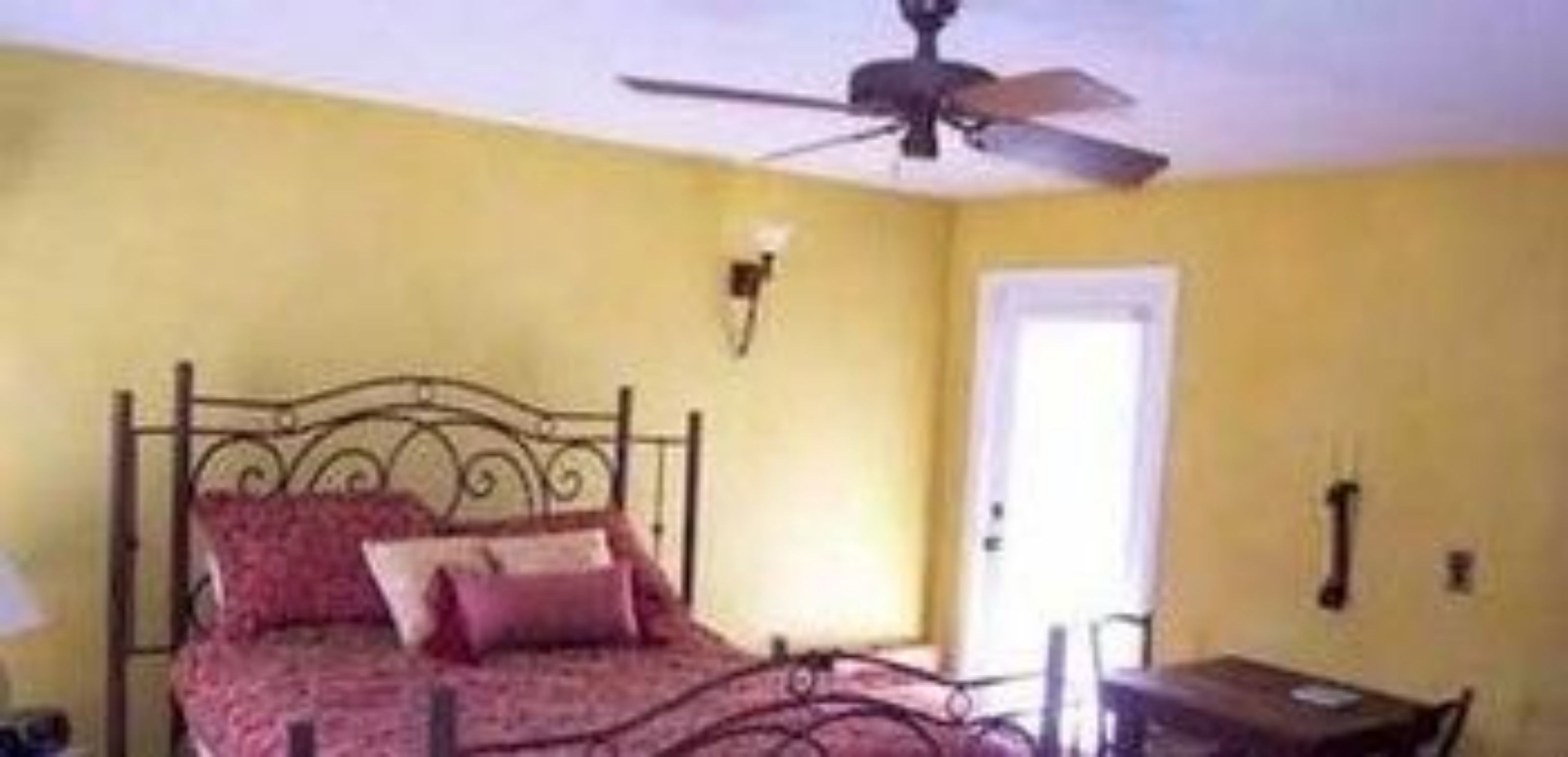 A bedroom with a bed, a ceiling fan, and a door.
