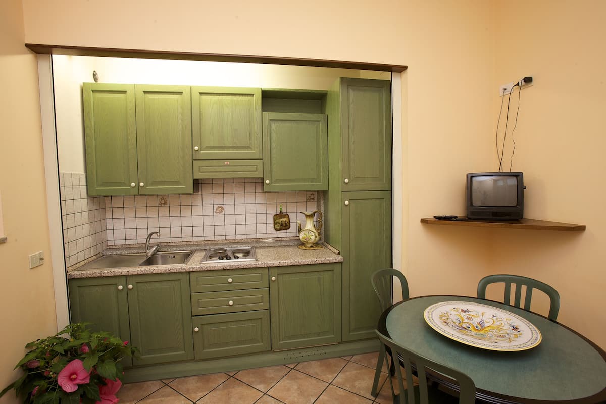 Una cocina compacta con armarios verdes, un lavamanos y un televisor pequeño sobre una estantería.