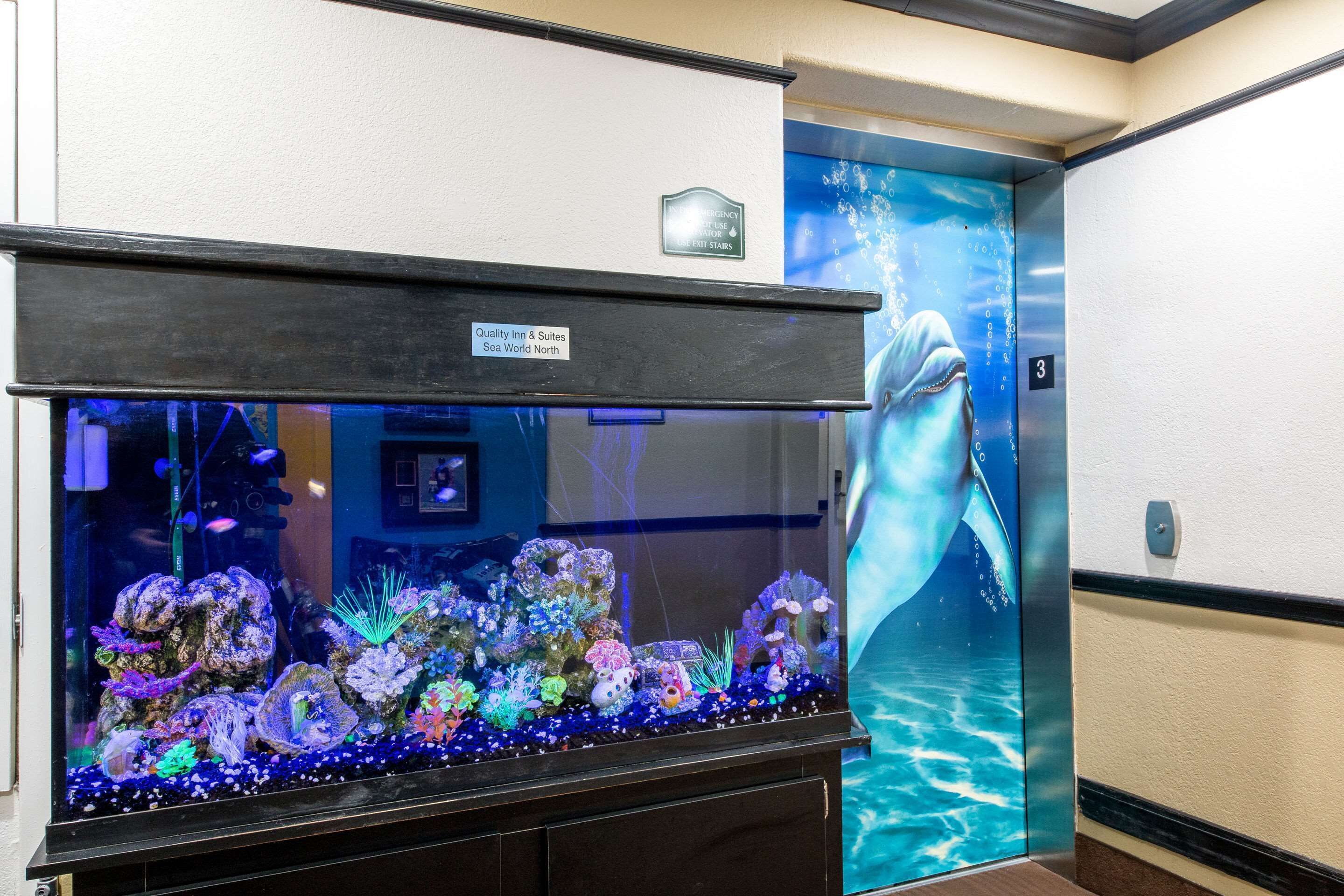 Photo - Quality Inn & Suites SeaWorld North