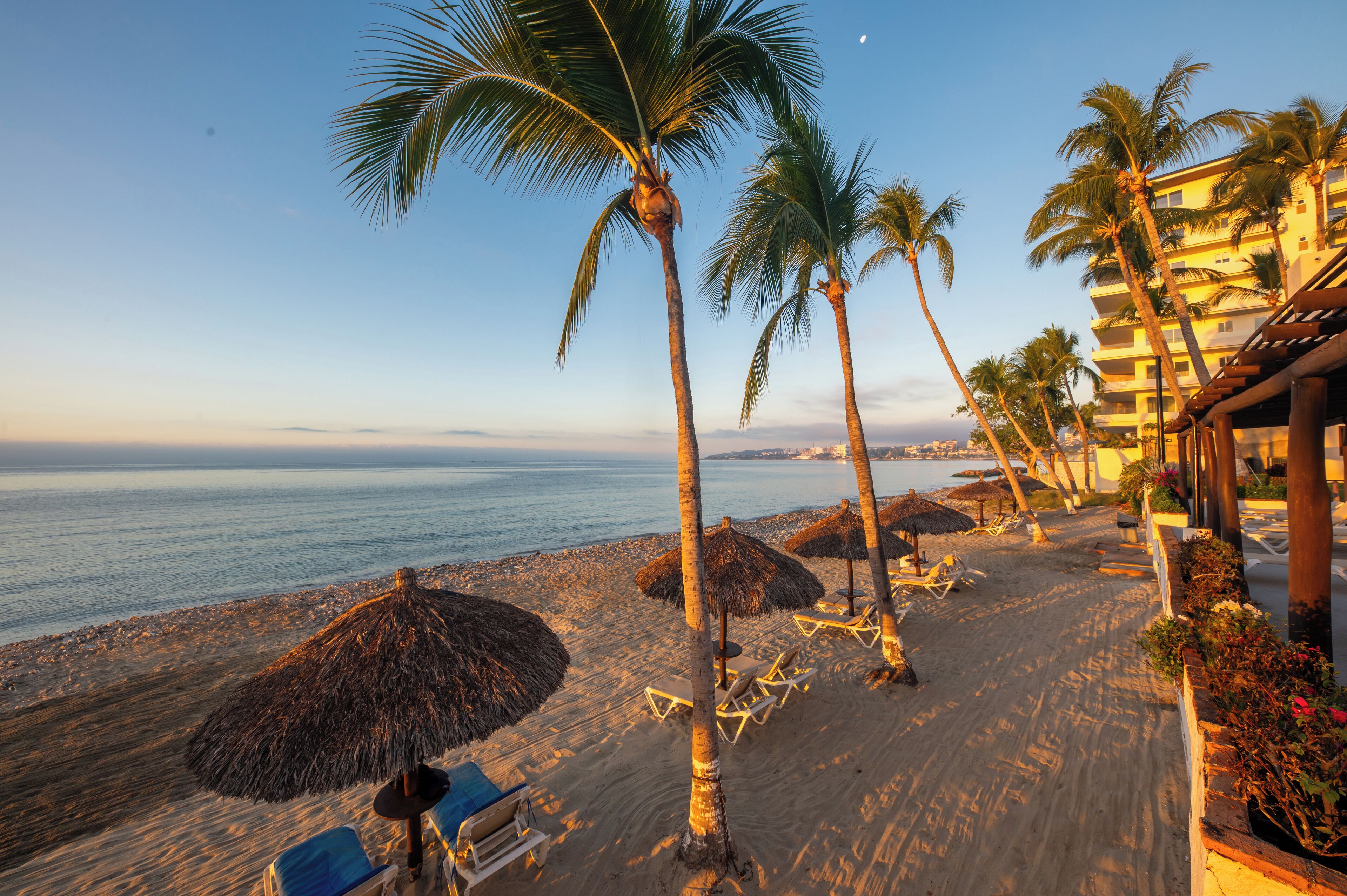 A beach with palm trees, thatched umbrellas, and lounge chairs.