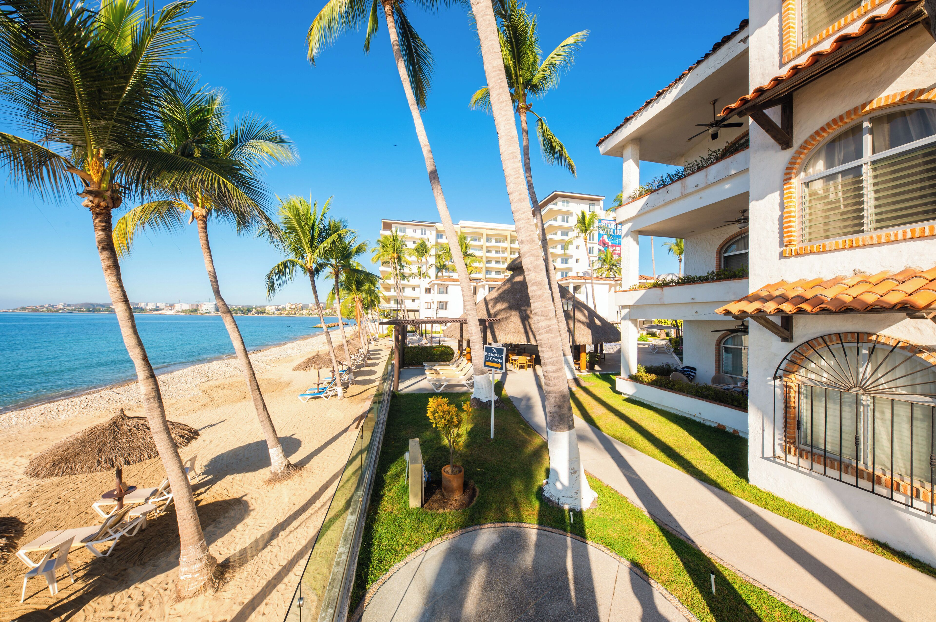 A beachfront hotel with palm trees, a pool, and a view of the ocean.