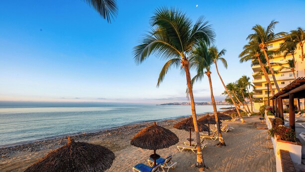 A beach with palm trees, lounge chairs, and umbrellas. - Vista Vallarta All Suites on the Beach (Bucerías)