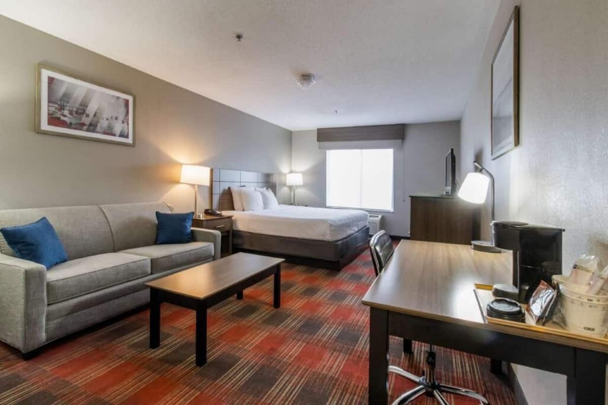A hotel room with a bed, a sofa, a desk, a lamp, and a picture on the wall.