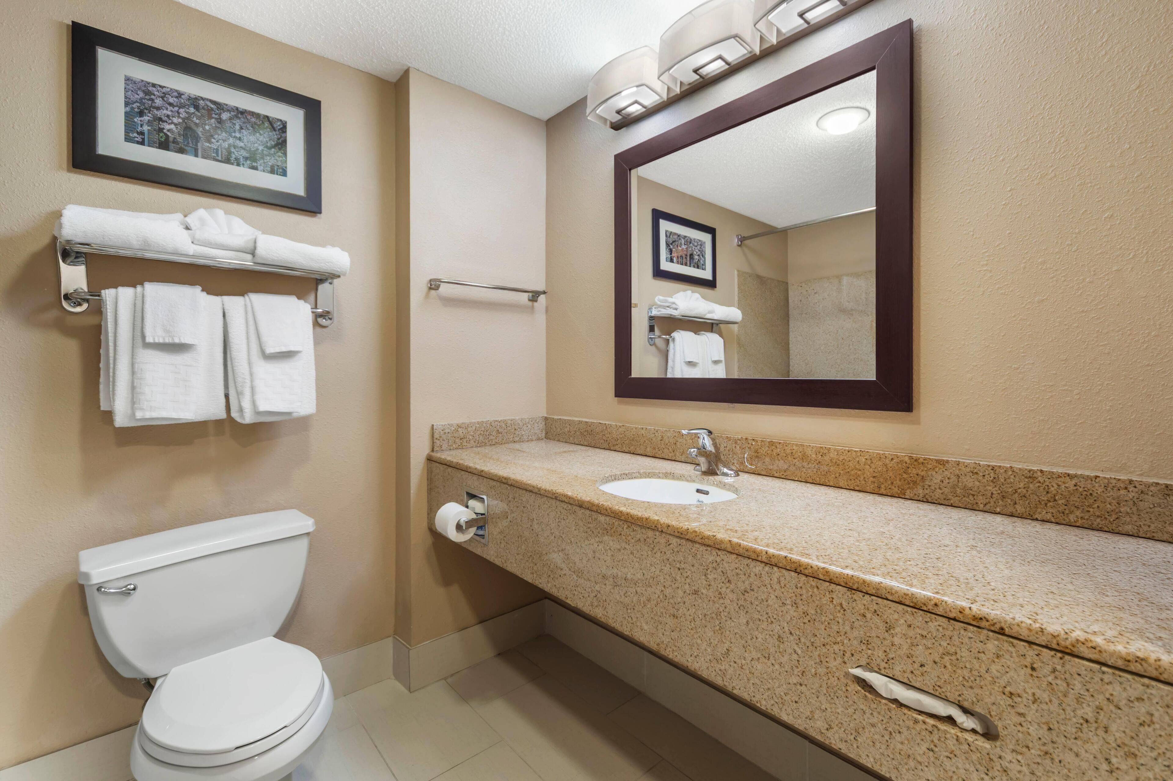 A bathroom with a toilet, sink, and towel rack.
