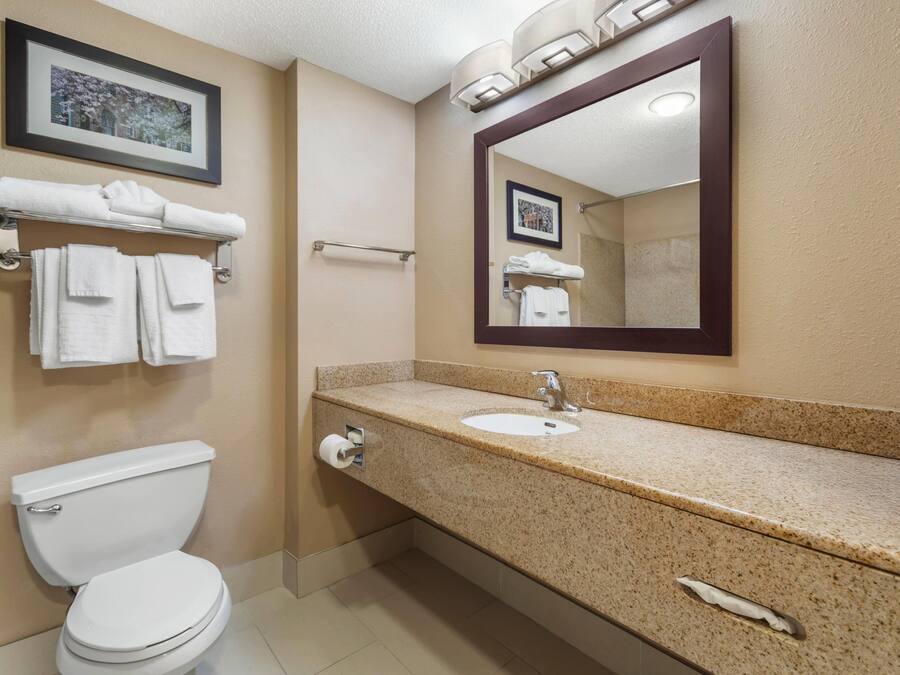 A bathroom with a toilet, sink, and towel rack.