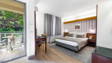 Standard Double Room, Park View | Minibar, in-room safe, desk, blackout curtains