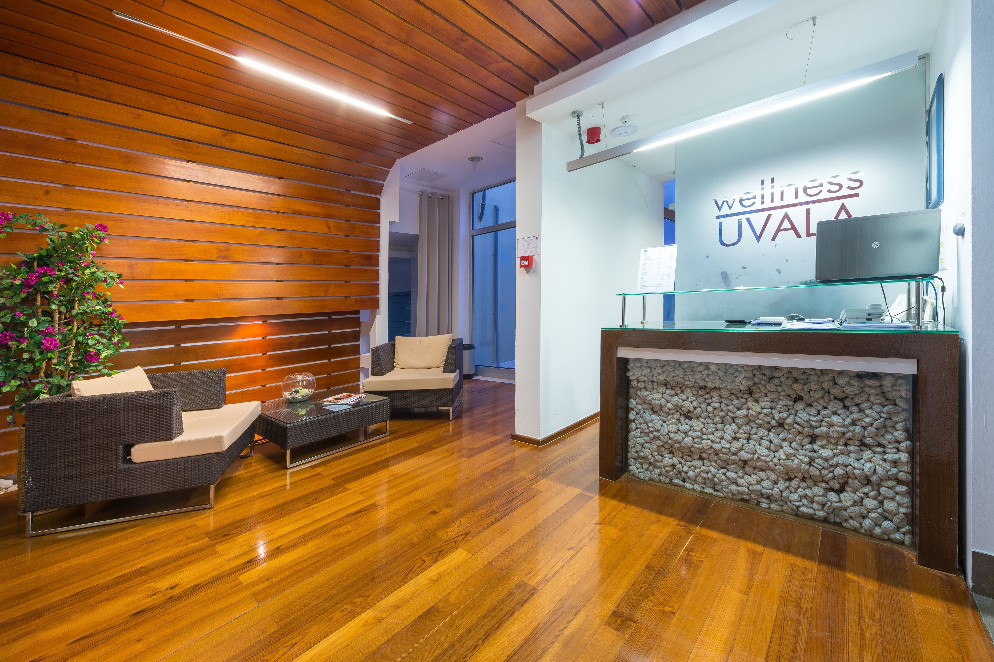 sauna, hot tub, body treatments, hydrotherapy, aromatherapy, body wraps