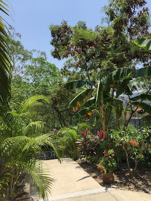 Área para eventos al aire libre