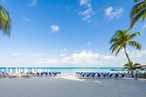 A beach with rows of blue lounge chairs and white umbrellas, palm trees, and a clear blue sky.