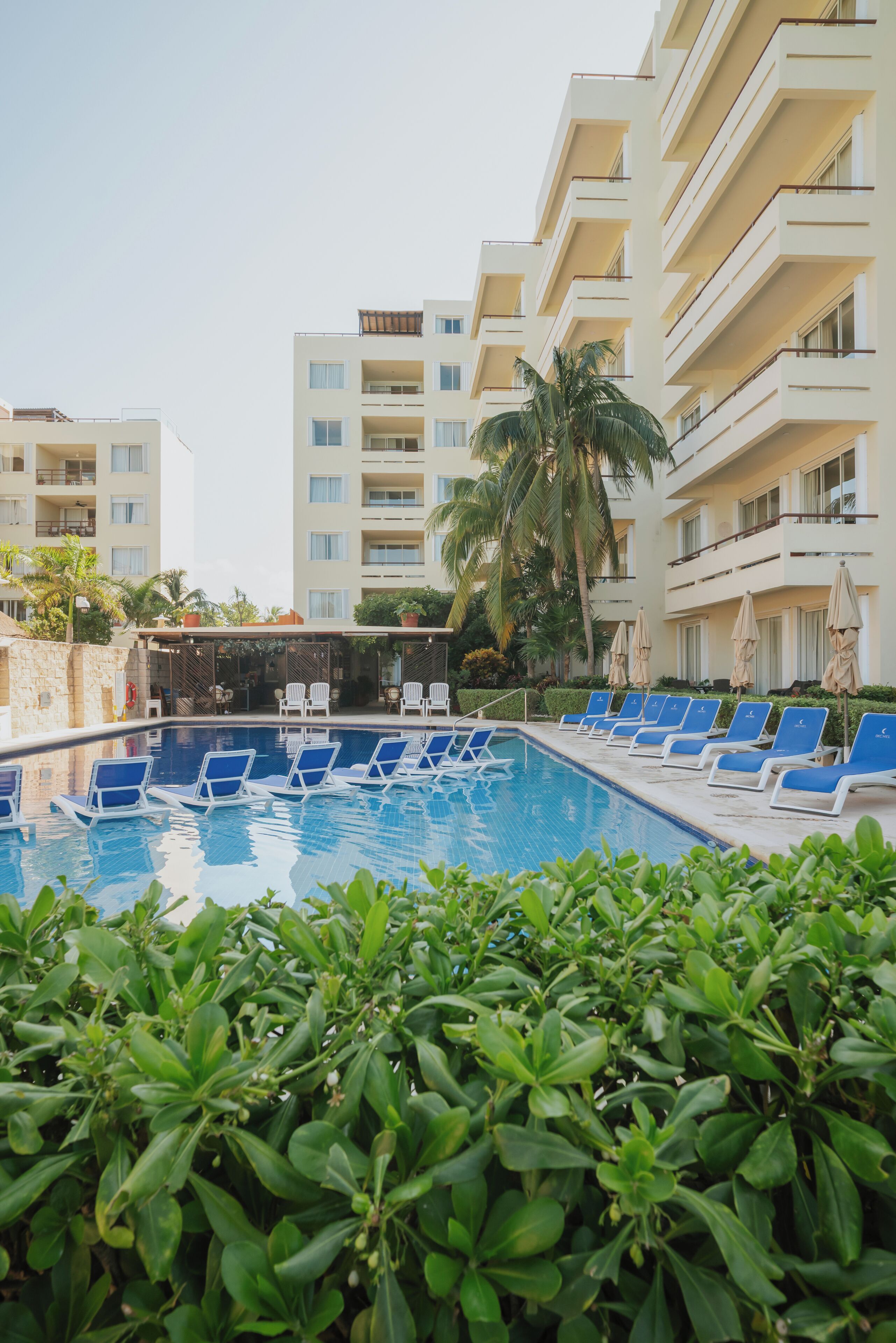 A swimming pool with lounge chairs, surrounded by greenery and a multi-story building with balconies.