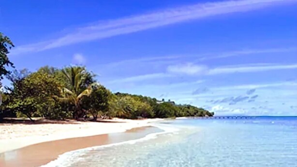Una playa con aguas cristalinas y poco profundas, una orilla arenosa y vegetación verde exuberante al fondo.