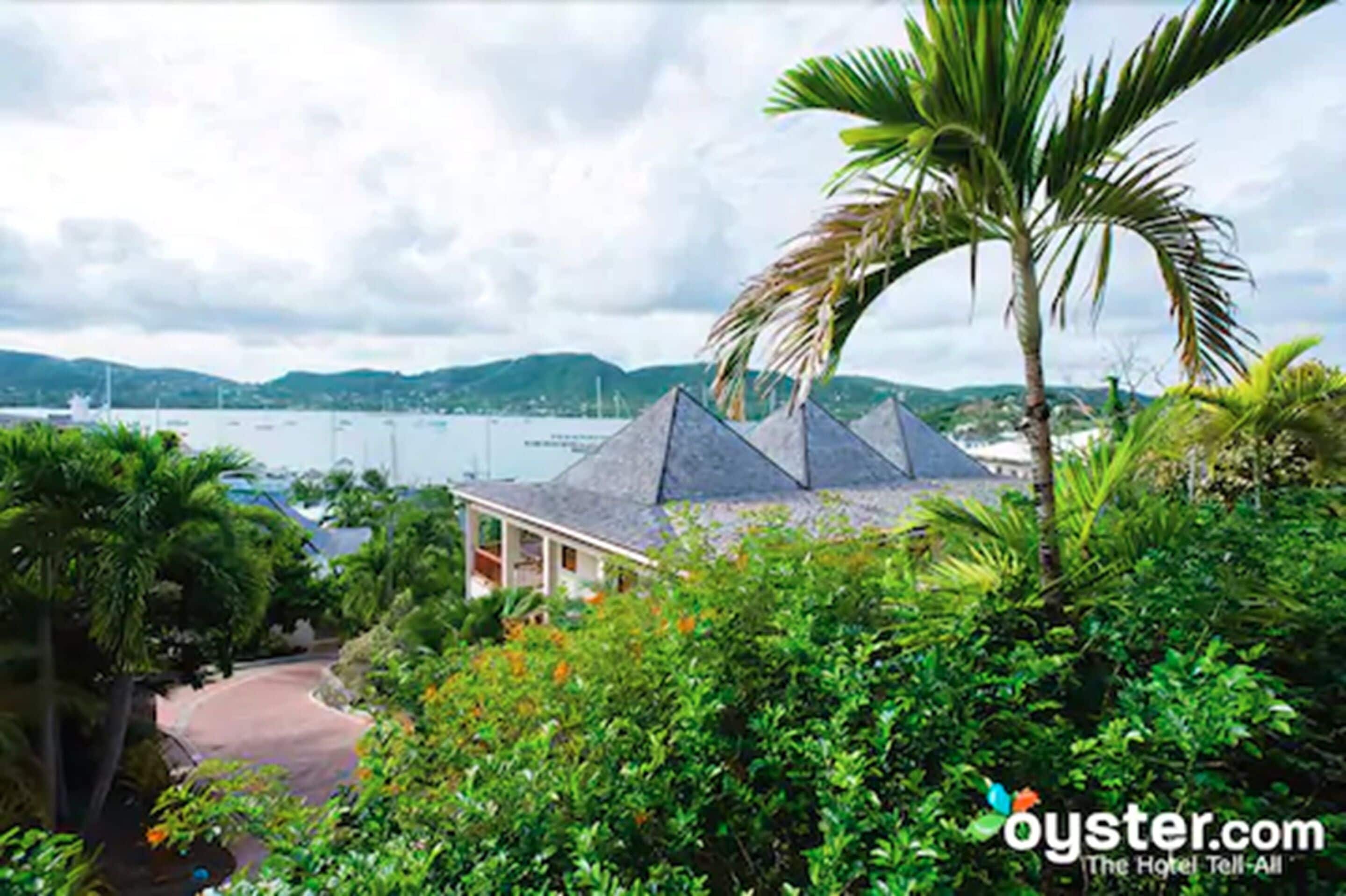 standard studio, kitchenette, garden view | view from room