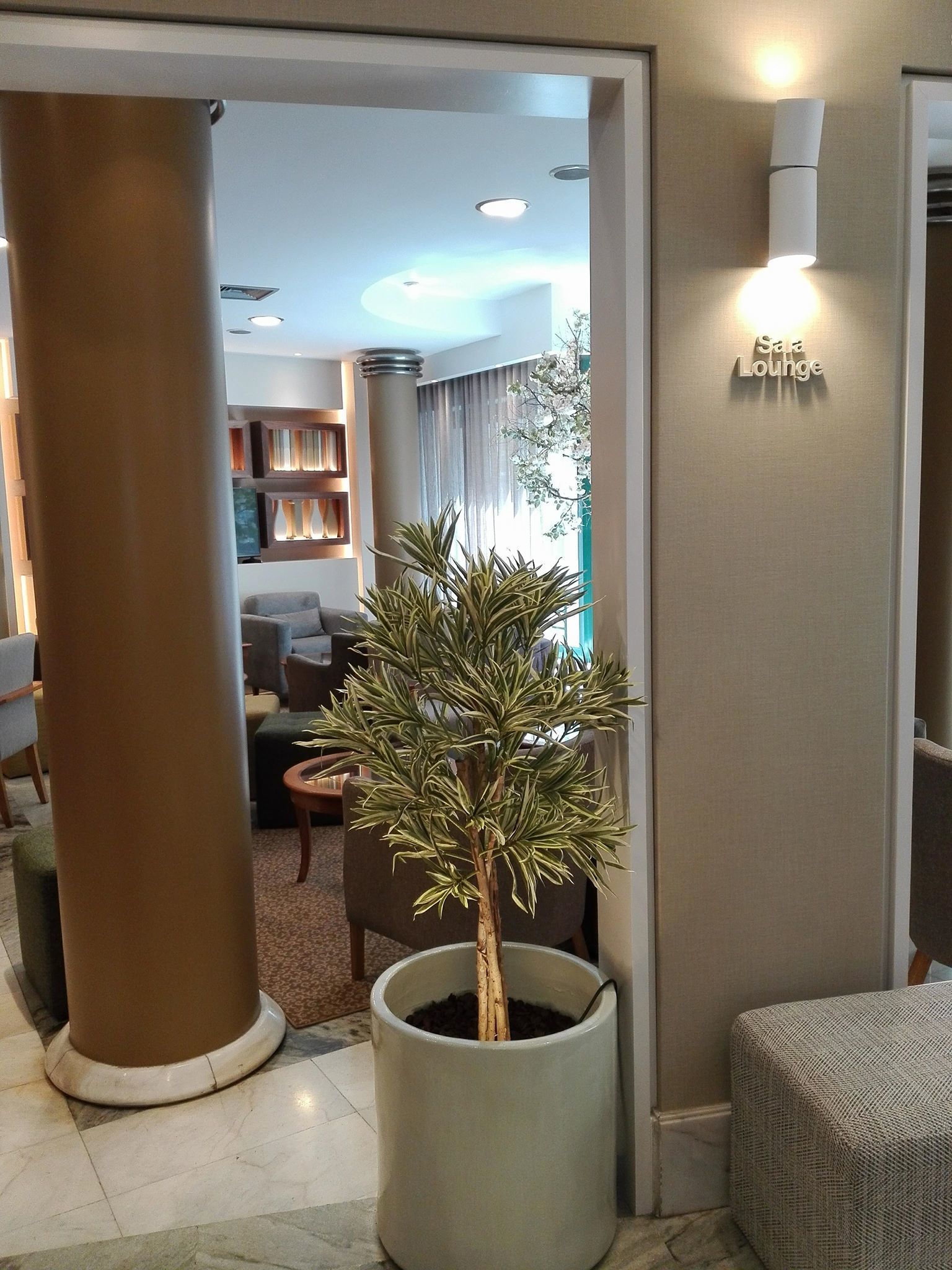 Foto - Hotel Windsor