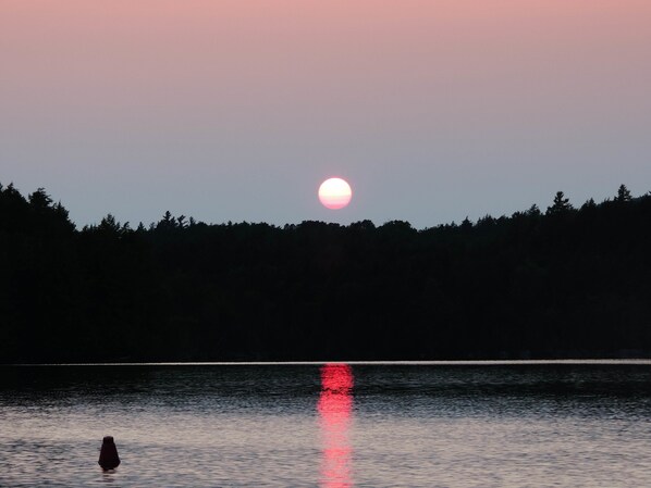 Un coucher de soleil sur une étendue d’eau, avec une forêt en arrière-plan.